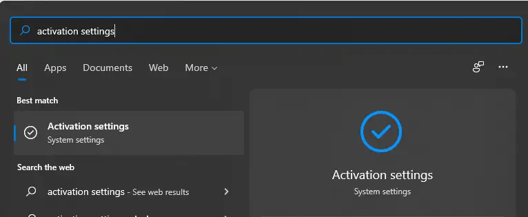 windows 11 search activation settings